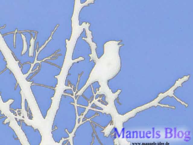 Manuels Blog - Vogel